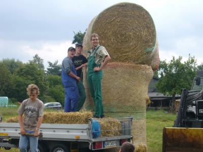 Bild 7